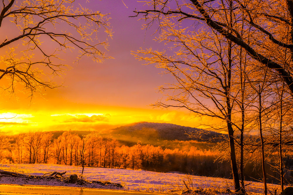 landscape010