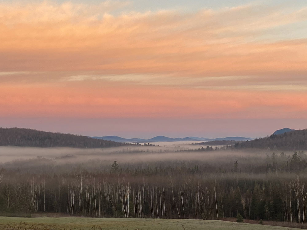 landscape015