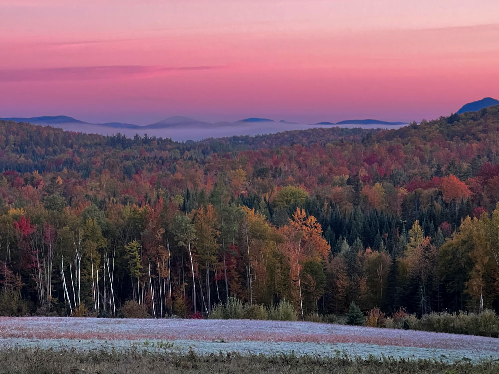 landscape_1163-2